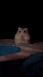 WhiskedAway Meme Template