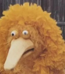 Definitely not Big Bird Meme Template
