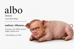albo - liar liar pants on fire Meme Template