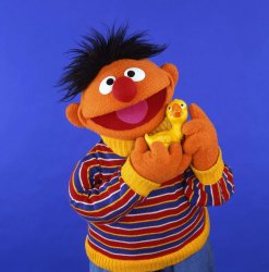 Ernie Rubber Ducky Meme Template