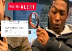 racism alert Meme Template
