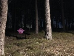 Tree T pose kirby Meme Template