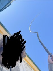 Counter argument, I have a big stick Meme Template
