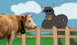 The bull and the cow Meme Template