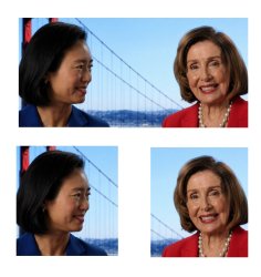 pelosi quit Meme Template