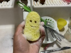 Sponge Meme Template