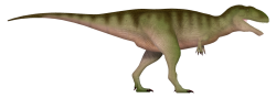 Meraxes Meme Template