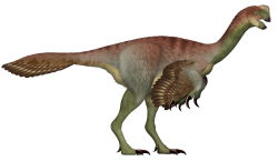 Gigantoraptor Meme Template
