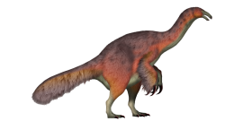 Duonychus Meme Template