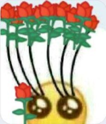 Rose Eyelashes Meme Template