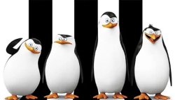 Penguins Madagascar Meme Template