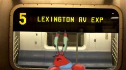 Mass Transit Struggles Meme Template