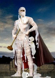 Toilet paper Armor Meme Template