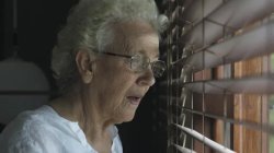 Grandma is watching Meme Template