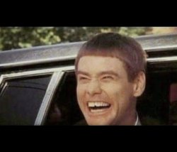 dumb and dumber Meme Template