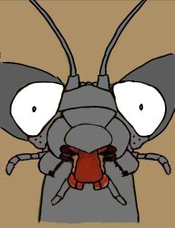 CURSED SHOCKED MANTIS GRAY Meme Template