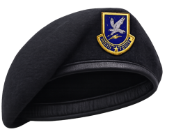 Security Forces Beret Meme Template