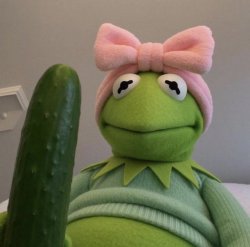 Kermit Cucumber Meme Template