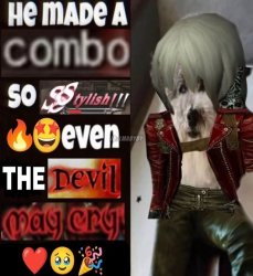 he made a combo so stylish even the devil may cry Meme Template