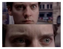 Peter Parker stare Meme Template