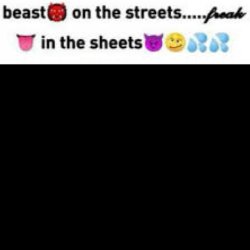 beast on the streets, freak in the sheets Meme Template