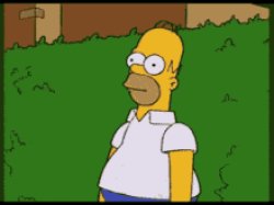 Homer Bushes Meme Template