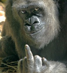 Finger Meme Template