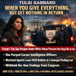 Tulsi Gabbard Meme Template