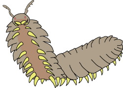 Female Arthropleura (Paleoverse + EOIverse) Meme Template