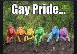 Gay Pride of Lions Meme Template