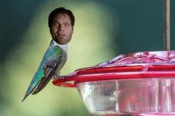 Sugar water Men in Black alien bird Meme Template