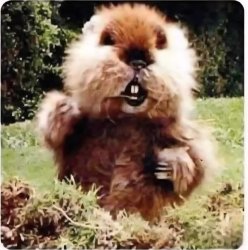 Gopher dancing Caddyshack Meme Template