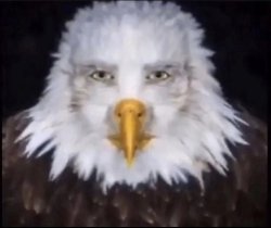 EAGLE Meme Template