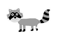 Raccoon Meme Template