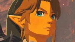 link Meme Template