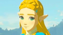 zelda Meme Template