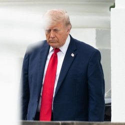 Dumb Jackass Trump Meme Template