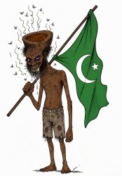 AVG Pakistani POOPER Meme Template