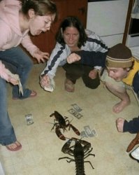 Lobster Fight Meme Template