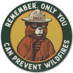 Smokey Bear Meme Template