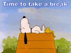 Break Meme Template