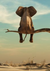 Elephant on Tree Branch Meme Template