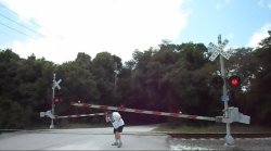 man hit on head by crossing gate Meme Template
