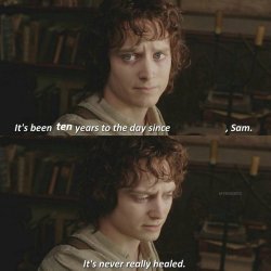 Frodo its never really healed Meme Template