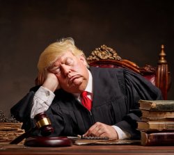 Sleeping judge trump Meme Template