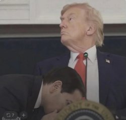 donald getting head Meme Template