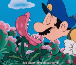 This place feels so soothing Meme Template