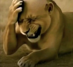 Lion head hurt Meme Template