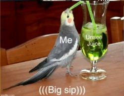 unsee juice Meme Template