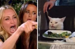 angry woman at cat Meme Template